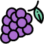 grape_1412542-1.png